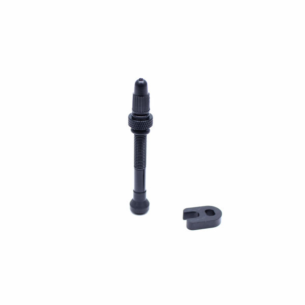 Easton Tubeless Valve 58mm click to zoom image