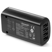Campagnolo SR WRL Battery Charger Adaptor click to zoom image