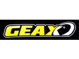 Geax logo