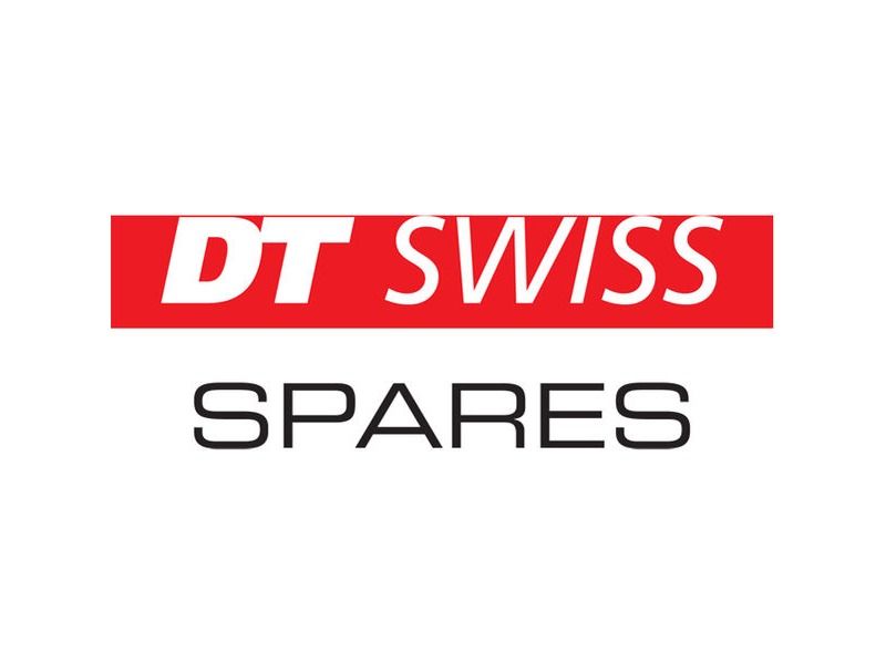 DT Swiss Front Axle 100 X 110 Mm 240 O/S 6-Bolt Disc Hub click to zoom image
