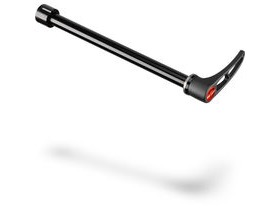 DT Swiss RWS for Shimano E-thru (alloy) 12 mm/142 mm with aluminium lever