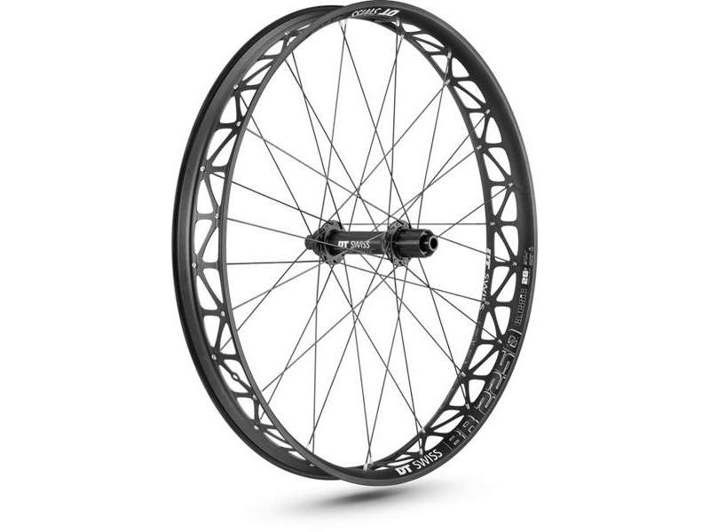 DT Swiss BR2250, 76mm rim, 25x197mm axle, 26" rear click to zoom image