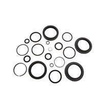Rock Shox Service - Am Fork Service Kit Basic (Includes Dust Seals Foam Rings O-ring Seals) - Lyrik Rct3 Solo Air - A1