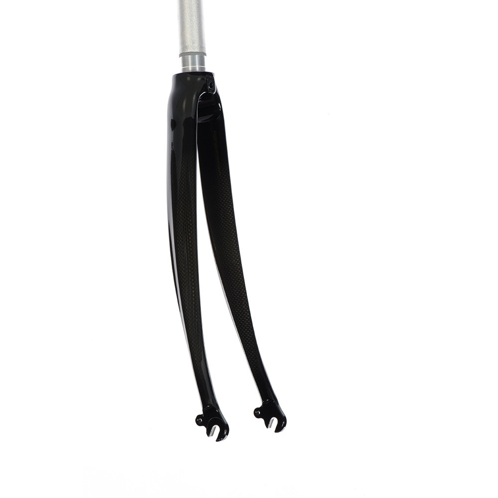 carbon fork with eyelets