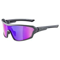 Alpina Lyron Shield P Glasses Grey/Purple Lens