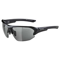 Alpina Lyron HR VL+ Glasses Black/Black Lens