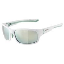 Alpina Lyron Shield Glasses White/Emerald Lens