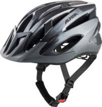 Alpina MTB17 Helmet Grey