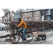 Burley Flatbed Cargo Bike Trailer click to zoom image