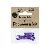 Peaty's x Chris King Tubeless Valve Accessory Kit Single Violet  click to zoom image