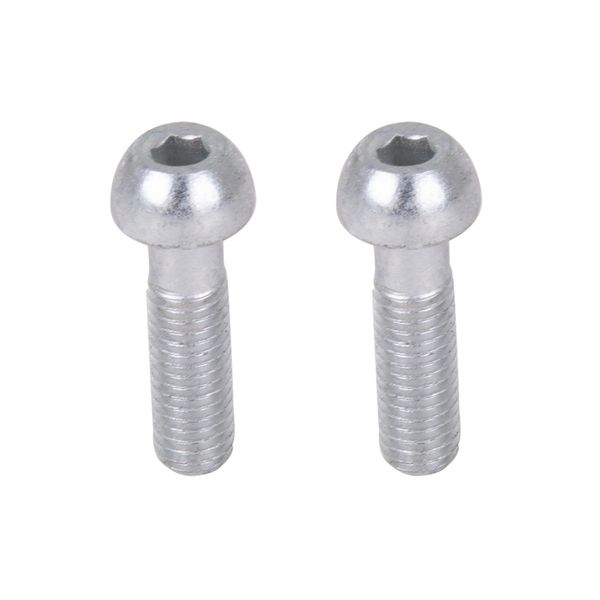 Thomson Spare - Replacement Stem bolts (2ea) Silver click to zoom image