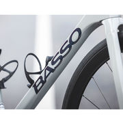 Basso Astra Disc Frameset Grey Asphalt click to zoom image